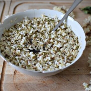 Sirop de fleurs d&rsquo;acacia : la recette facile faite maison pour le printemps